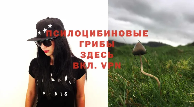 Псилоцибиновые грибы MAGIC MUSHROOMS  Энгельс 